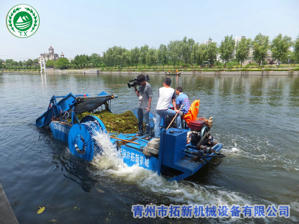 銷往臺兒莊割草船【cctv專訪】